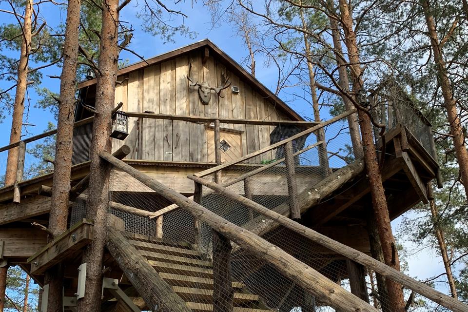 tretopphytter kart Treetop cottages at the border